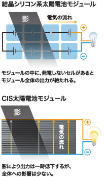 影にも強い!